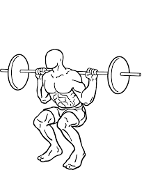 Squats are a fundamental exercise that targets the glutes, quads, and hamstrings.