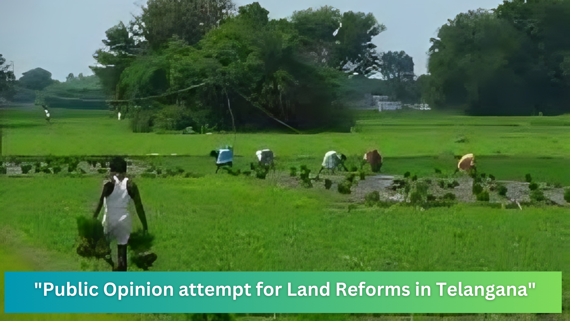 f the government's efforts and highlights the key aspects of the proposed land reforms, ensuring clarity and accuracy in the information presented.