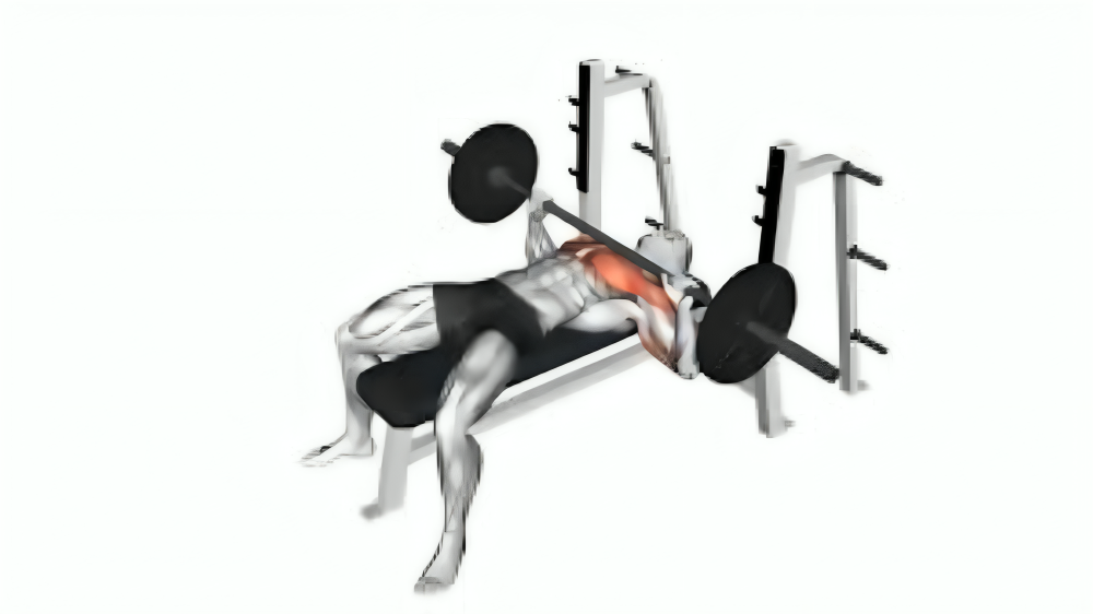 If you're looking to develop a strong, well-defined chest, the barbell bench press should be at the top of your workout list. This classic exercise is renowned for its ability to build overall chest strength, with a particular emphasis on the middle chest.