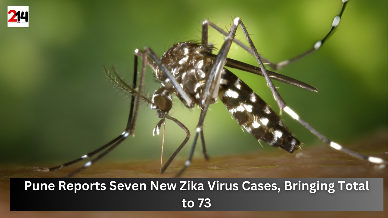 Pune Reports Seven New Zika Virus Cases, Bringing Total to 73