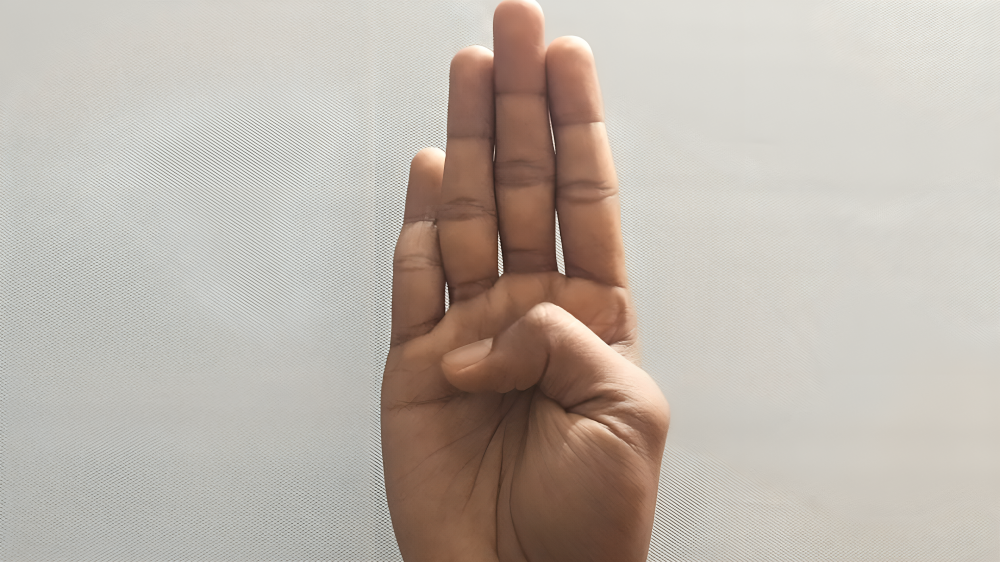 Aditi Mudra is one of the hand gestures known as "mudras" extensively practiced in yoga and meditation. Although less known than many others like Gyan Mudra, it is believed to be very potent with a number of both physical and mental benefits.