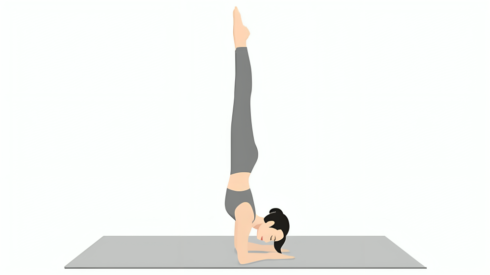 Not a stretch, yoga is strength, balancing, and awareness. One of the many postures which really put up all these features is Pincha Mayurasana or Forearm Stand. This upside-down pose may be intimidating; however, with practice and patience, anyone can work one's way up into it.