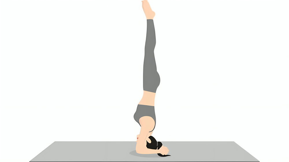 Yoga helps to enhance both the body and the mind. Of all the poses, few are as wonderful as Sirsasana, also called Headstand. This iconic pose has little to do with upside-down standing and everything to do with balance, strength, and focus.